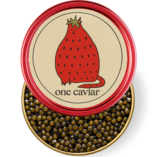 Kaluga Hybrid Caviar - Sweet Cat